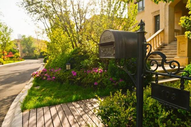 5月的国宝，，享受初夏的惬意时光